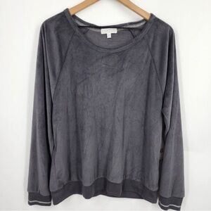 PJ salvage grey velour top
